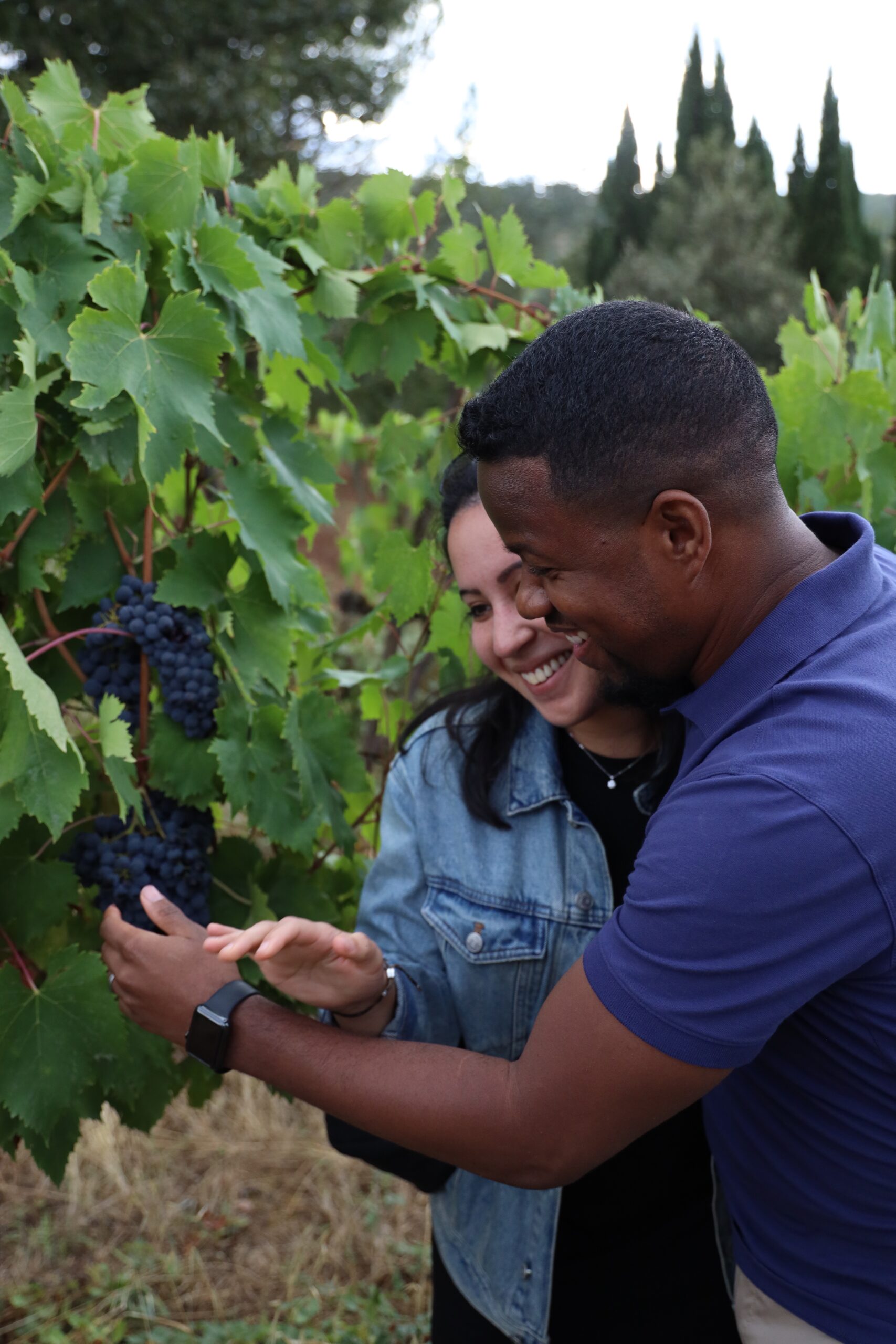 Una pareja sonriente posa en un viñedo, rodeada de exuberantes parras verdes y racimos de uvas oscuras. Una pareja sonriente posa en un viñedo, rodeada de exuberantes parras verdes y racimos de uvas oscuras.