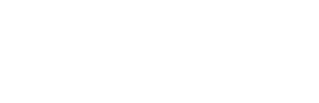 Santo Domingo Times logo