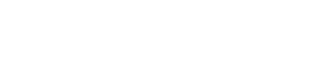 Revista Diario Libre